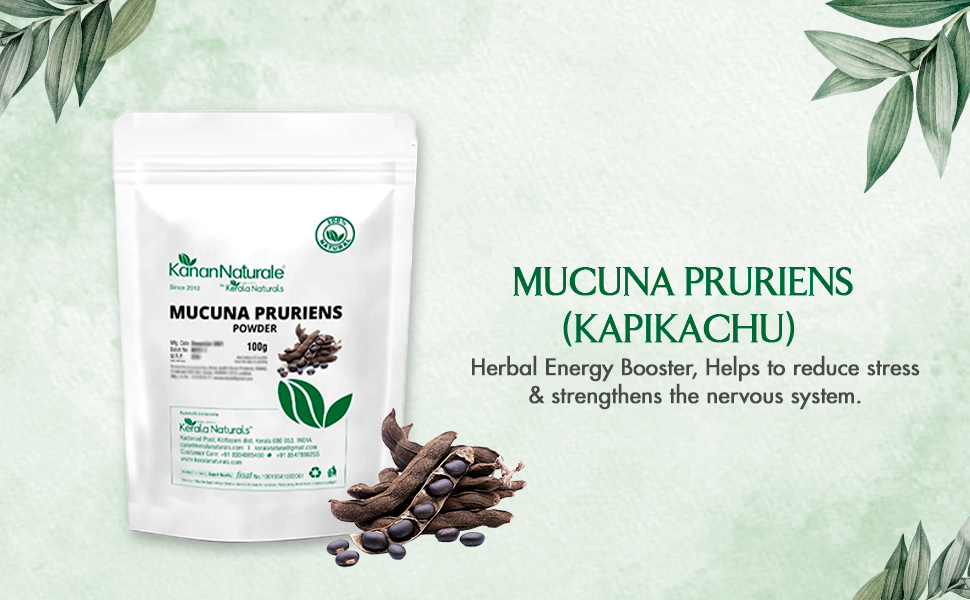 Mucuna Pruriens (Kapikachu) 100gm - Herbal Energy Booster and Helps to Reduce Stress and Anxiety