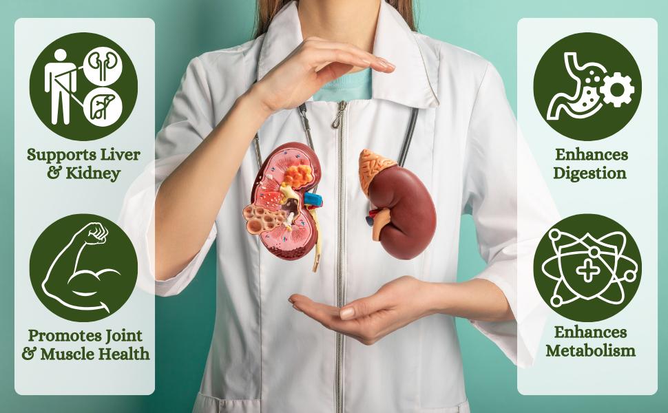 Punarnava Capsules 350mg Capsules, Natural, 120 count
