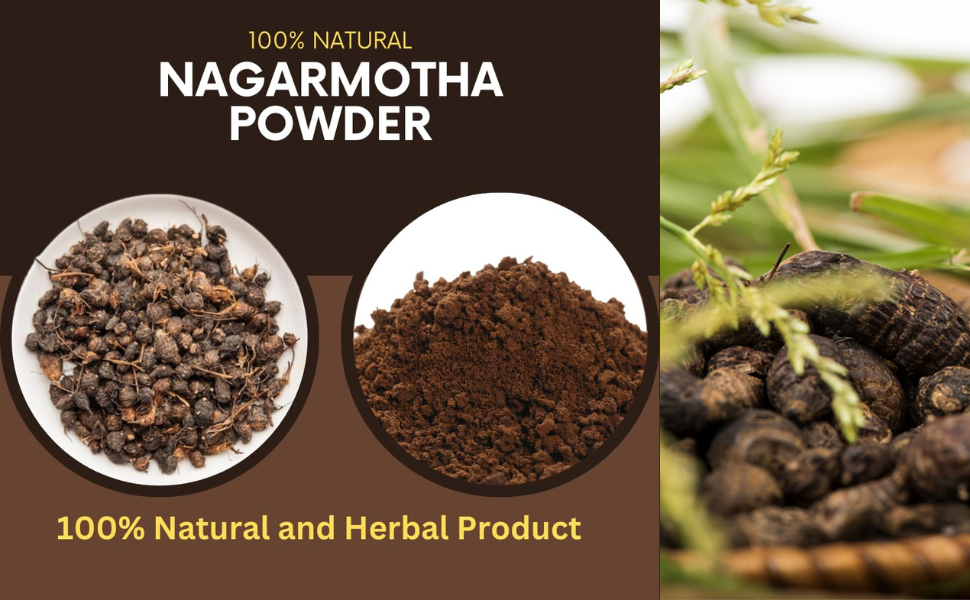 Herbal Hills Nagarmotha Powder, (1kg Single Pack) | Supports Digestion & Fat Metabolism | Nagarmotha Churna For Bloating, Acidity & Detox | With Cyperus Rotundus Root