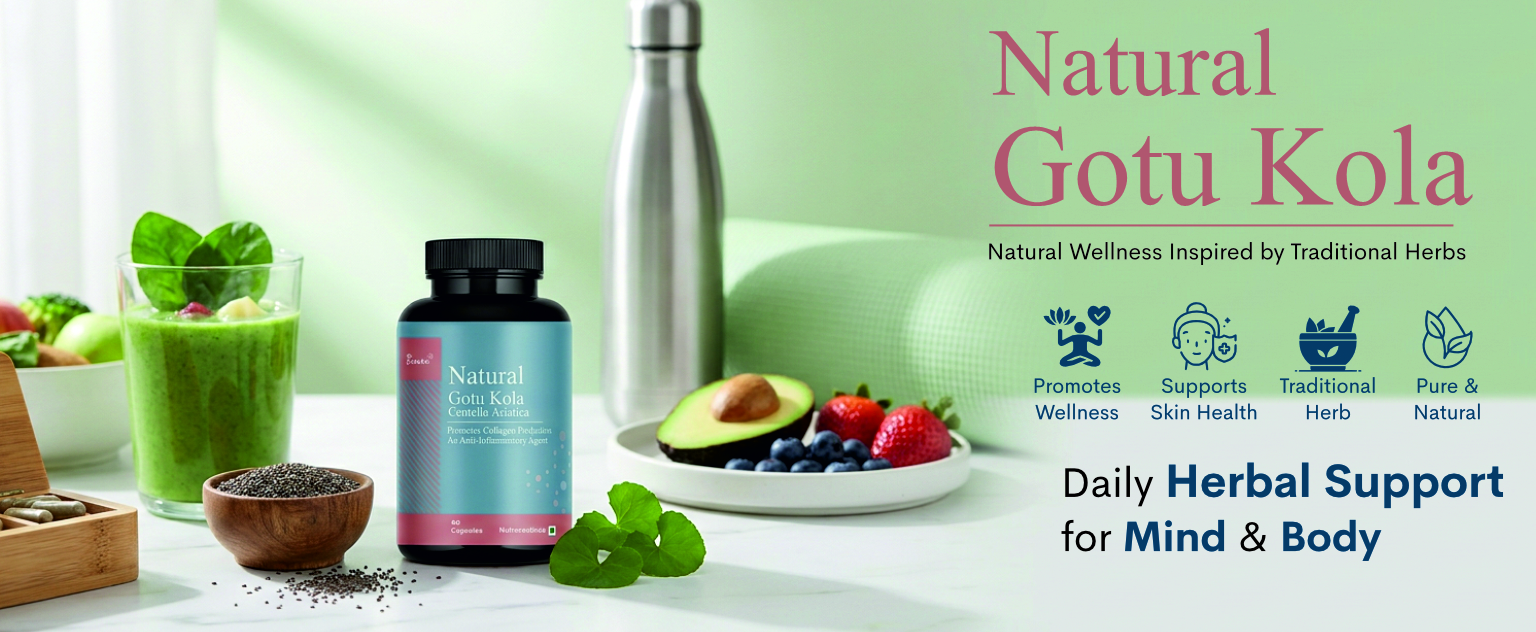 Gotu Kola Herbal Supplement 60 Veg Capsules | Centella Asiatica Extract 300mg | Supports Healthy Skin, Cognitive Wellness, Mental Focus, Memory Function & Daily Nutritional Support