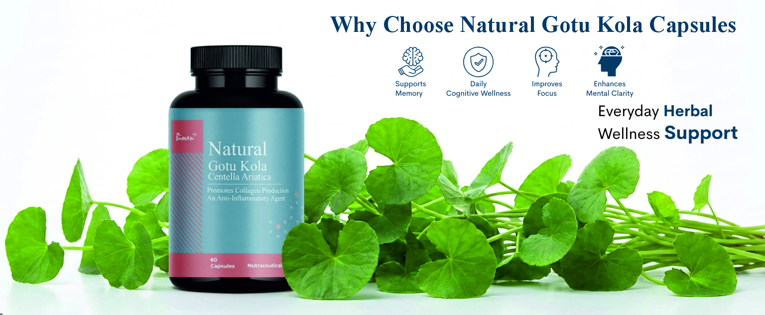 Gotu Kola Herbal Supplement 60 Veg Capsules | Centella Asiatica Extract 300mg | Supports Healthy Skin, Cognitive Wellness, Mental Focus, Memory Function & Daily Nutritional Support