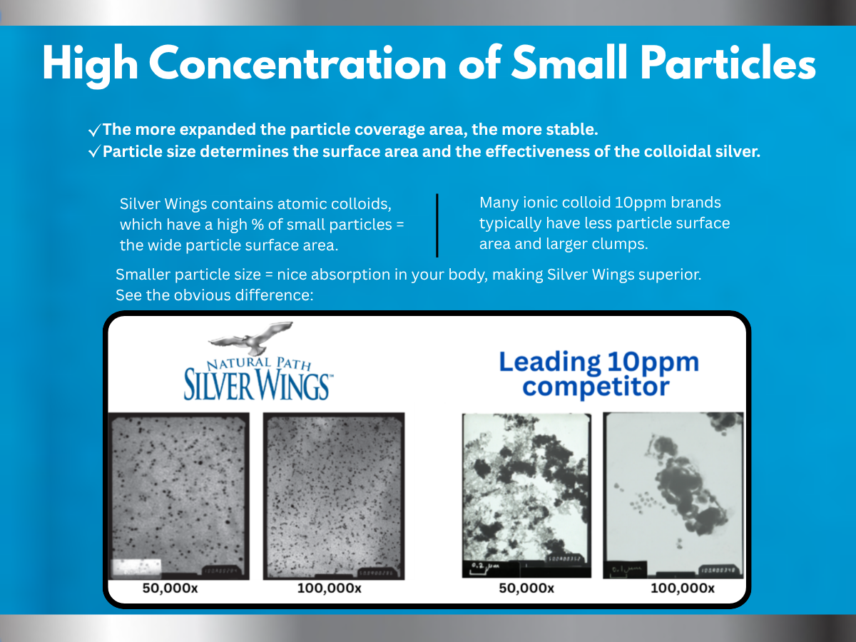 Natural Path Silver Wings Colloidal Silver 500ppm (2,500mcg) Immune Support Supplement 8 fl. oz.