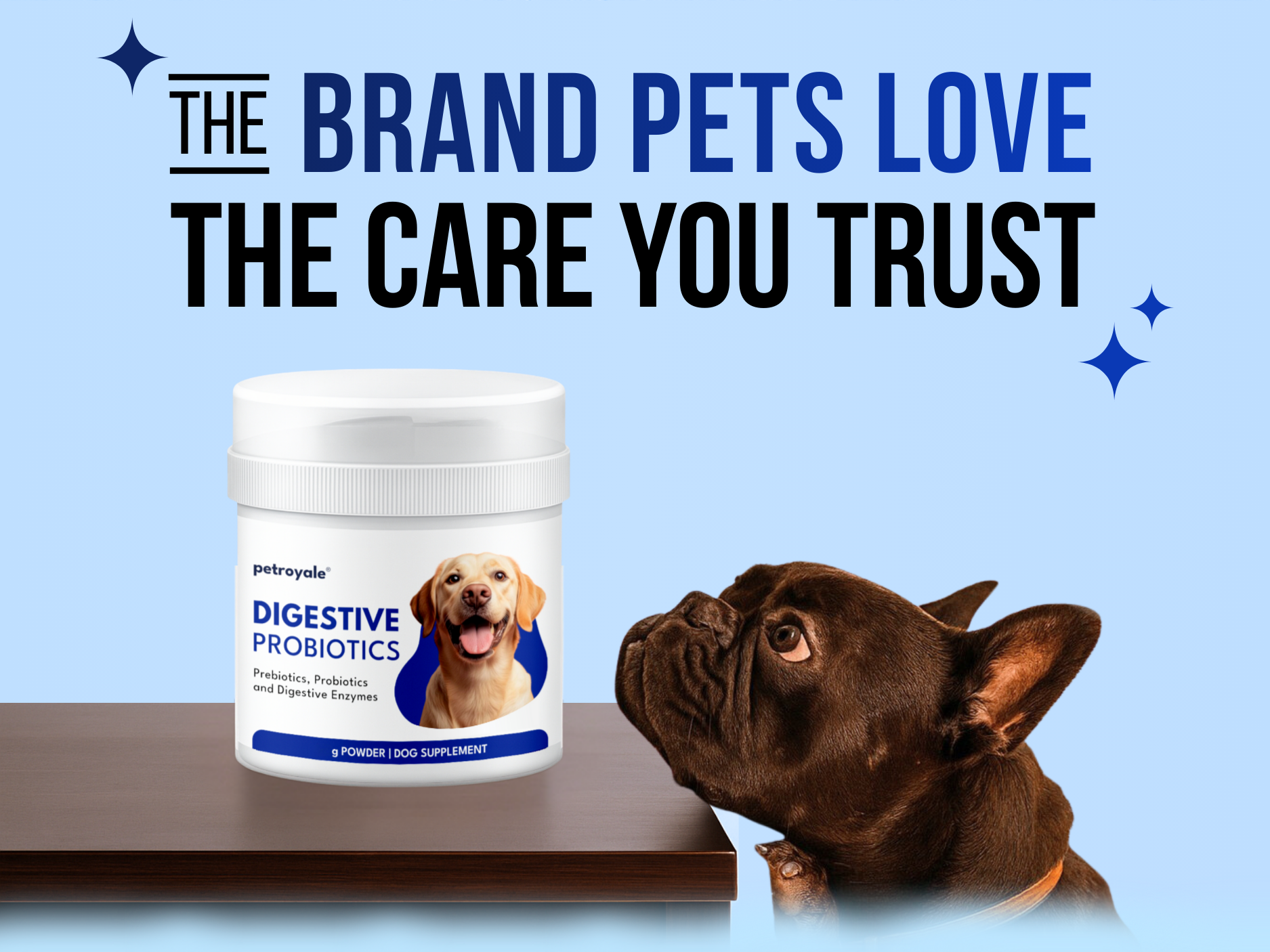 Petroyale Digestive Probiotics for Dogs - Prebiotics & Probiotics Supplement Powder - Improves Gut Health - Prevents Diarrhea & Indigestion - Dog Gut Wellness Supplement | 100g (Pack of 1)