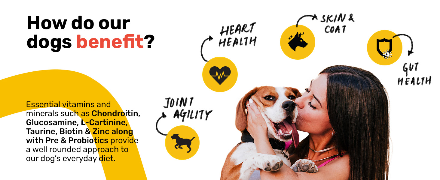 Henlo Everyday Nutrition Topper | Dog Supplement and Multivitamin | Improved Skin & Coat, Joint Support, Heart, and Gut Health Human Grade Ingredients | All Life Stages | 100g