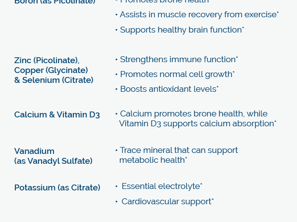 Researched Nutritionals Core Minerals - Daily Trace Minerals Supplement - Iron-Free Blend with Vitamin D3, Magnesium Glycinate & Iodine for Thyroid, Bone & Metabolic Support (120 ct)