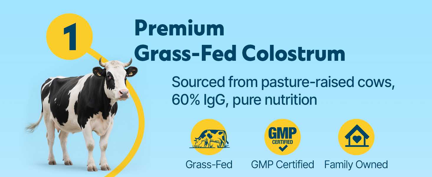 Energievoll Bovine Colostrum Supplement Powder - 60% IgG 3000 mg for Gut, Hair Growth, Beauty, and Immune, Easy to Mix, Unflavored (50 Servings)