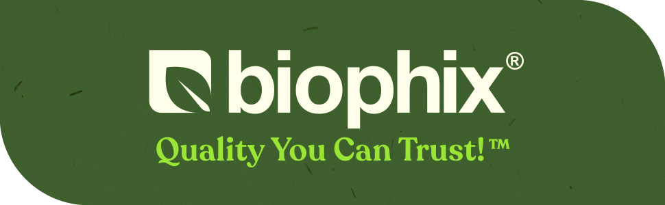 biophix B-3 Nicotinamide 500 mg 180 Caps - Nicotinic Amide Niacin Natural Flush-Free Vitamin Formula - Supports Skin Cell Health