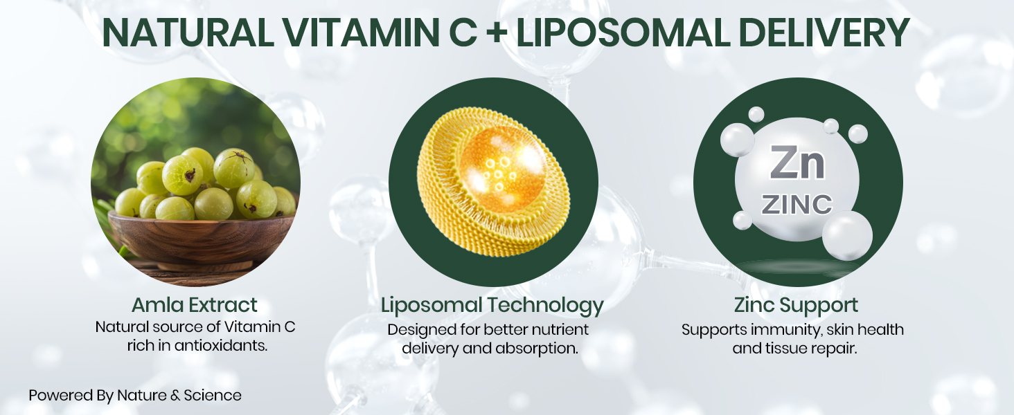 Vlado's Himalayan Organics Natural Liposomal Vitamin C Supplements Amla Extract With Zinc For Immunity & Skincare | Antioxidant Vitamin, Skin Rejuvenation I Vitamin C Tablets - 120 Veg Tablets
