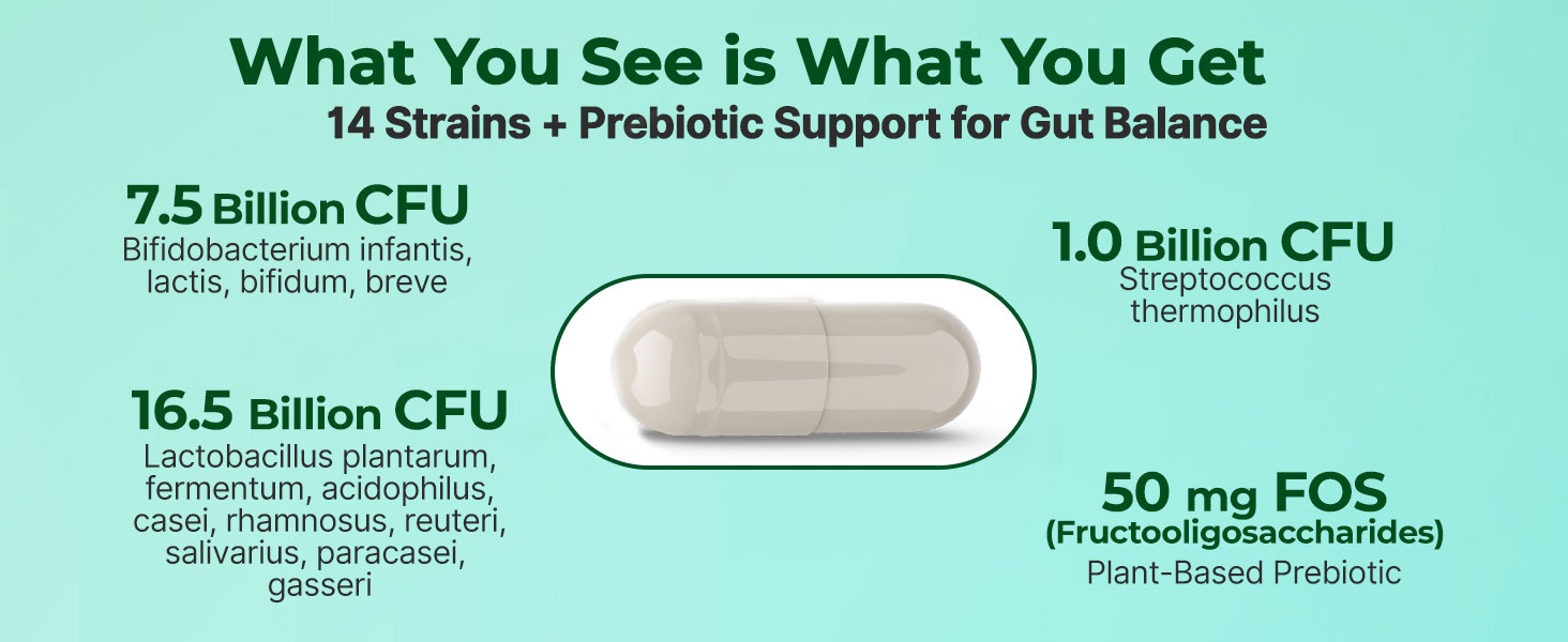 INLIFE Pre & Probiotics Forte, 25 Billion CFU, 14 Strains, 30 Veg Capsules