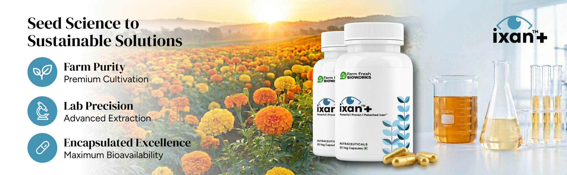 ixan+ Eye Care Supplement I Clinically Validated Patented iXAN I Eye Wellness & Visual Comfort | Defense against Oxidative & Inflammatory Stress I Support for Normal Eye Function | Supports Retina and Macular Eye Health I Supports Visual Ease During Digital Device Use | With Curcuminoids, Lutein & Zeaxanthin I 60 Veg Capsules