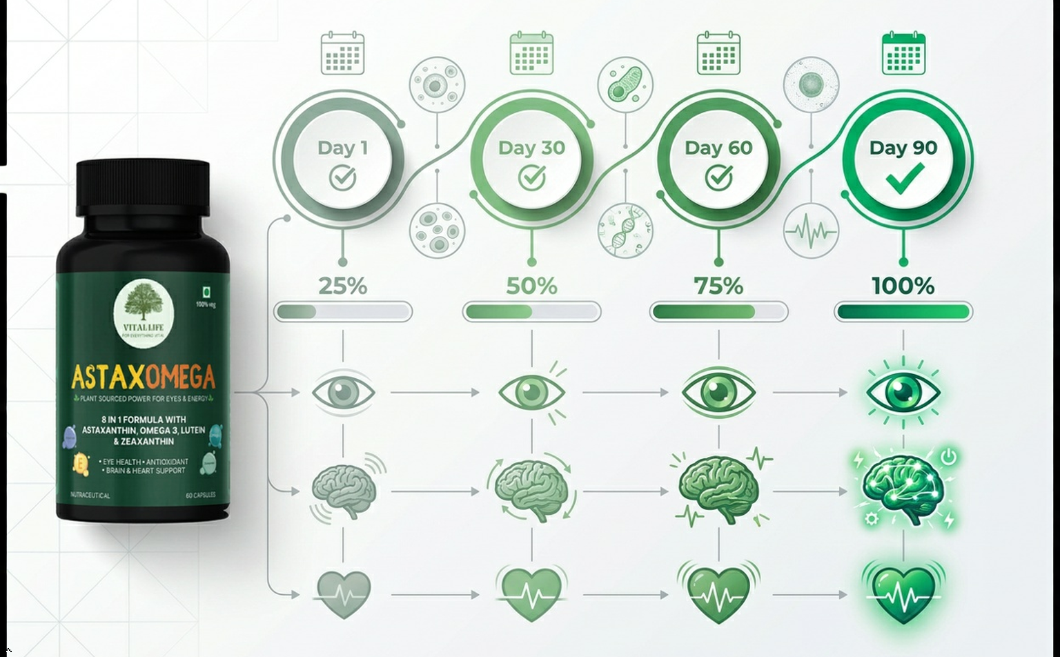 VITAL LIFE AstaxOmega 8 in 1 Formula, 60 Veg Capsules