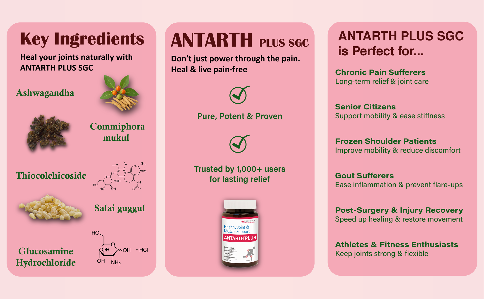 Antarth Plus | For Healthy Joint & Muscle Support- 30 Softgels With Ashwagandha,Salai Guggul,Shuddha Guggul,Nirgundi,Omega 3 & 6