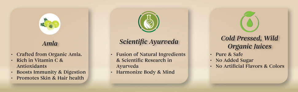 Forest Secrets Amla Juice 1000 ml | Natural Ayurvedic Tonic for Immunity, Digestion & Glowing Skin | Aloe Vera Juice Blend | Adult Wellness Drink (Pack of 1)
