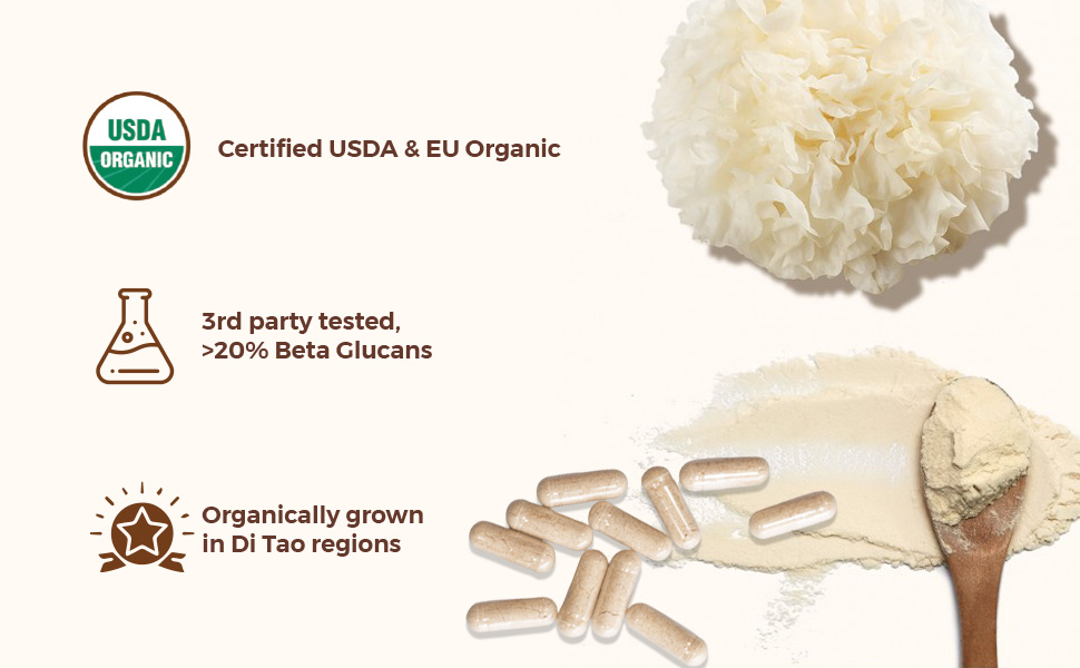 Rooted Actives Tremella Mushroom Extract (60 Veg caps, 500 mg) |Beauty, Skin Glow, Collagen booster, Hyalyronic acid, Hydration| 45% Beta Glucans