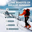 himalayan-shilajit-gummies-with-85-trace-2.jpg