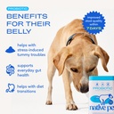 native-pet-digestive-wellness-boost-bund-4.jpg