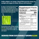 sugar-free-turmeric-curcumin-1000mg-supp-2.jpg