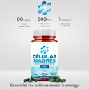 stem-cell-supplements-500mg-60-cap-natur-5.jpg