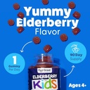 feel-great-kids-elderberry-gummies-with--4.jpg