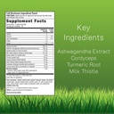 irwin-naturals-extra-strength-ashwagandh-2.jpg