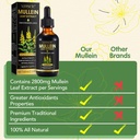 mullein-drops-for-lungs-mullein-leaf-ext-6.jpg