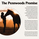pennwoods-body-builder-compete-advanced--6.jpg
