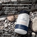 mitoadvanced-biocopper1-cu1-cunermuspir--5.jpg