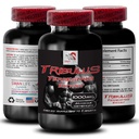 daily-activity-energy-tribulus-terrestri-2.jpg
