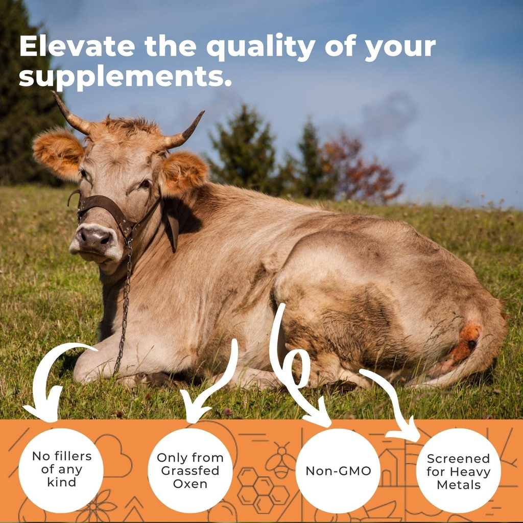 grass-fed-ox-bile-extract-1000mg-bile-sa-3.jpg
