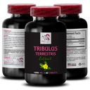 pure-energy-boost-tribulus-terrestris-ex-2.jpg