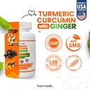 turmeric-curcumin-supplement-with-ginger-2.jpg
