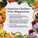 vitalitown-magnesium-complex-2-packs-240-3.jpg