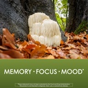 planetary-herbals-lions-mane-for-memory--6.jpg