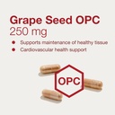 protocol-for-life-balance-grape-seed-opc-4.jpg