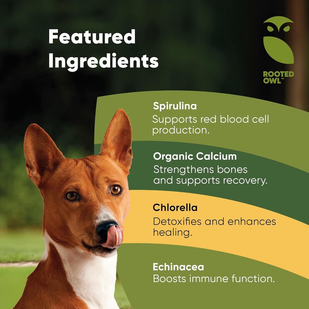 rooted-owl-blood-support---immunity-reco-3.jpg