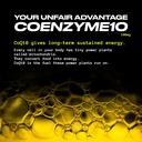 god-complex-methylated-multivitamin-100m-81jKPatD0AL.jpg