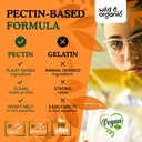 wild-organic-ceylon-cinnamon-gummies-pin-5.jpg