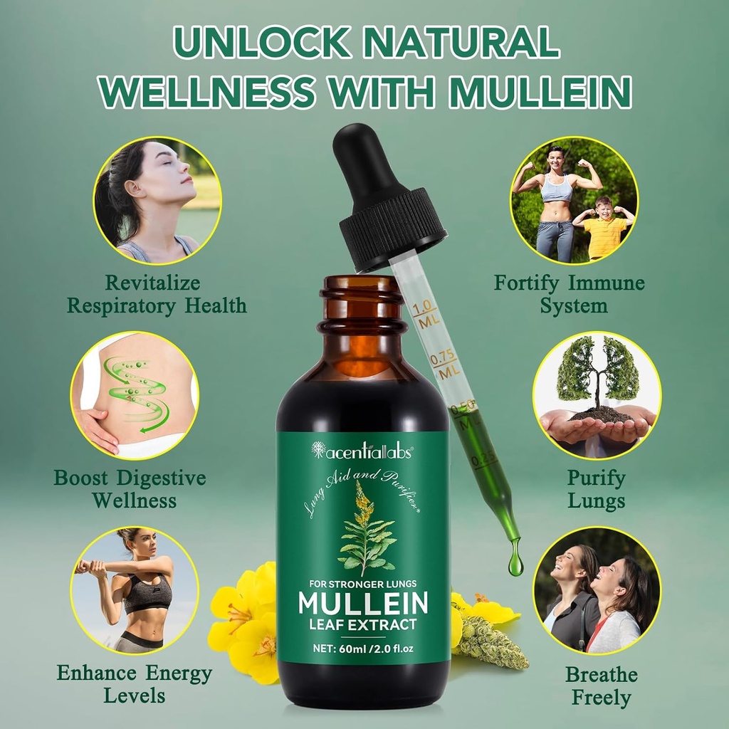 mullein-leaf-extract-for-lungsmullein-dr-5.jpg