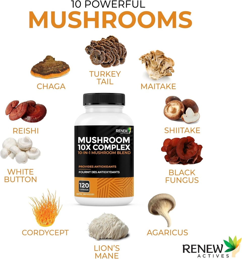 renew-actives-mushroom-complex-2-capsule-4.jpg