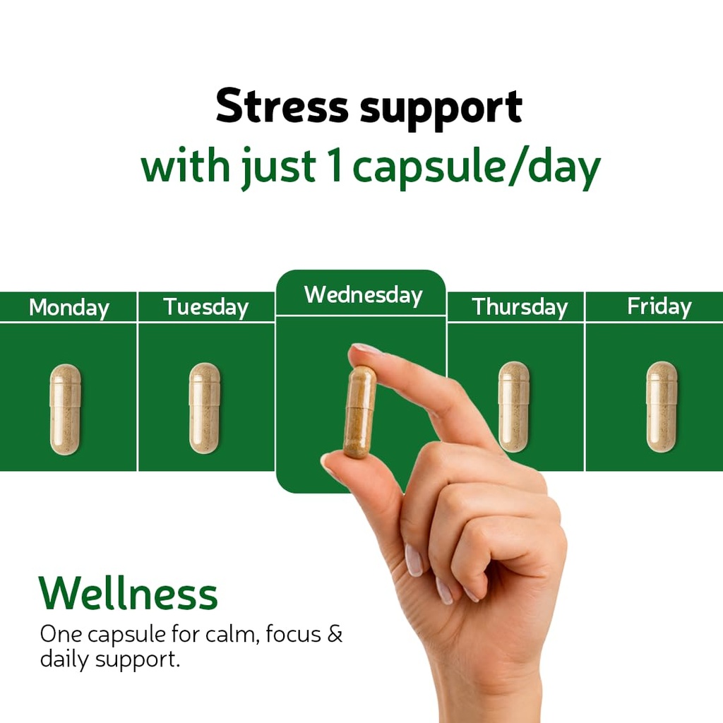 matsyaveda-herbals-ashwagandha-ksm-66-10-61h8KIOkNaL.jpg