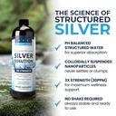 alkaline-structured-silver-liquid-supple-81N0Ng1PfTL.jpg