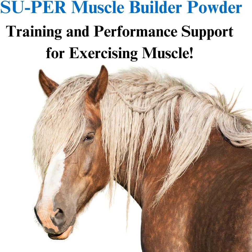 su-per-muscle-builder-horse-supplement---2.jpg