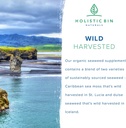 holistic-bin-organic-sea-moss-capsules-1-4.jpg