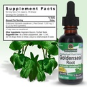 natures-answer-goldenseal-root-herbal-su-3.jpg