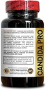 generic-candida-pro---oregano-caprylic-p-3.jpg