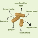 bloatbarrier-72-capsules---natural-diges-6.jpg