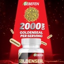 bebefen-goldenseal-root-capsules-2000mg--3.jpg