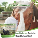 silver-lining-herbs-immune-support-for-h-6.jpg