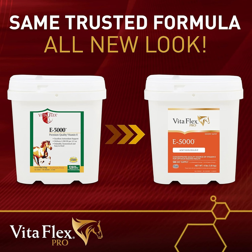 vita-flex-pro-e-5000-premium-quality-hor-2.jpg