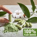 size-1-empty-vegan-capsule-with-2-micro--2.jpg